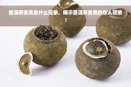 普洱茶变质是什么现象，揭示普洱茶变质的惊人现象！