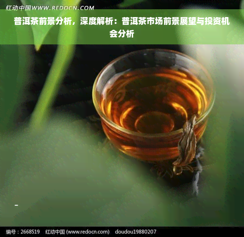 普洱茶前景分析，深度解析：普洱茶市场前景展望与投资机会分析