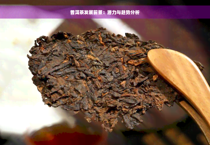 普洱茶发展前景：潜力与趋势分析