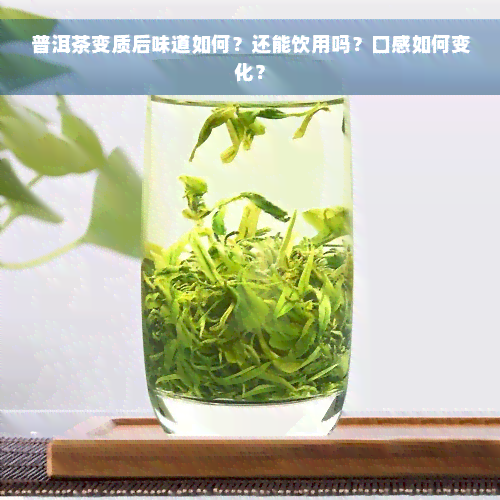 普洱茶变质后味道如何？还能饮用吗？口感如何变化？