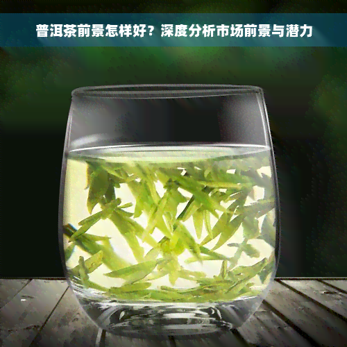 普洱茶前景怎样好？深度分析市场前景与潜力