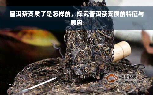 普洱茶变质了是怎样的，探究普洱茶变质的特征与原因