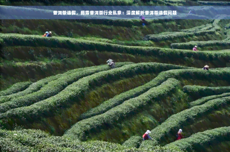 普洱茶造假，揭露普洱茶行业乱象：深度解析普洱茶造假问题