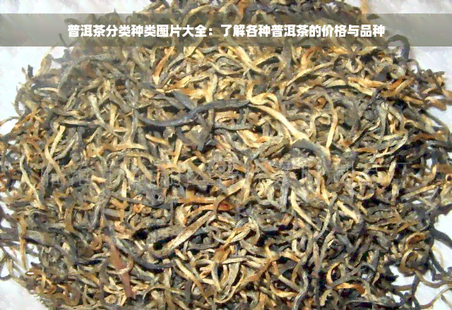 普洱茶分类种类图片大全：了解各种普洱茶的价格与品种