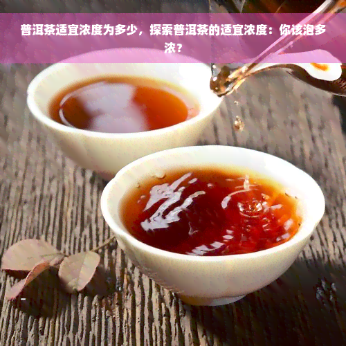 普洱茶适宜浓度为多少，探索普洱茶的适宜浓度：你该泡多浓？