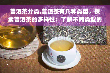 普洱茶分类,普洱茶有几种类型，探索普洱茶的多样性：了解不同类型的普洱茶分类