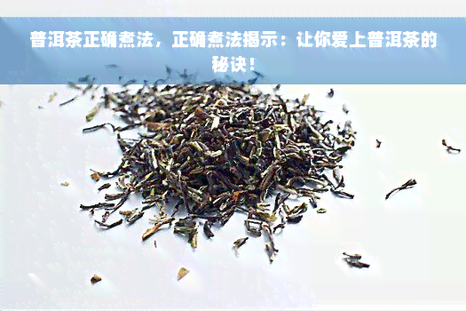 普洱茶正确煮法，正确煮法揭示：让你爱上普洱茶的秘诀！