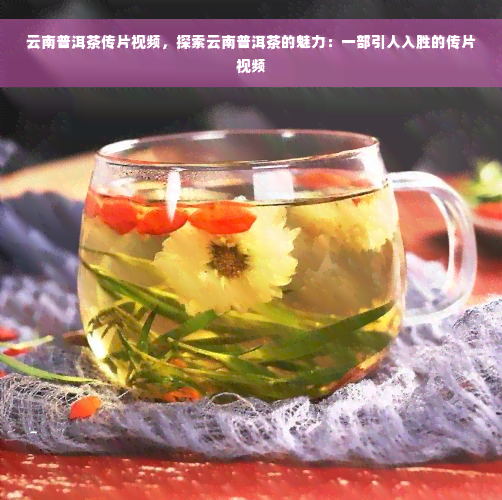 云南普洱茶传片视频，探索云南普洱茶的魅力：一部引人入胜的传片视频