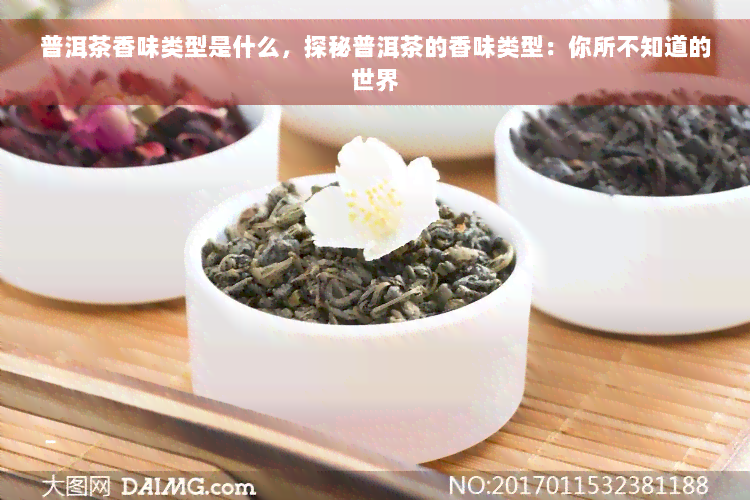 普洱茶香味类型是什么，探秘普洱茶的香味类型：你所不知道的世界