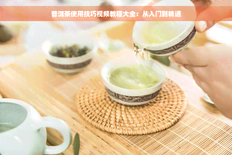 普洱茶使用技巧视频教程大全：从入门到精通