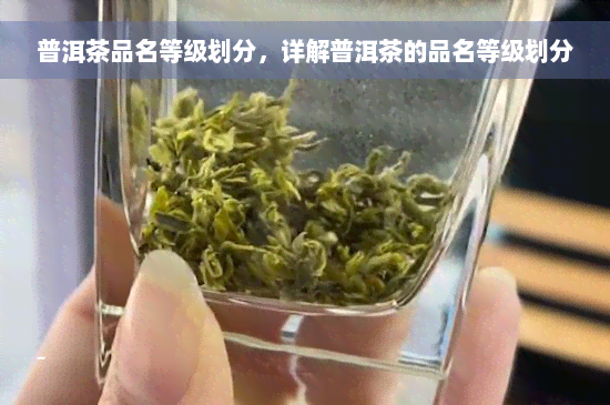 普洱茶品名等级划分，详解普洱茶的品名等级划分