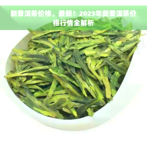 新普洱茶价格，最新！2023年新普洱茶价格行情全解析