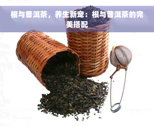 根与普洱茶，养生新宠：根与普洱茶的完美搭配