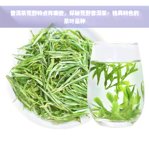 普洱茶荒野特点有哪些，探秘荒野普洱茶：独具特色的茶叶品种