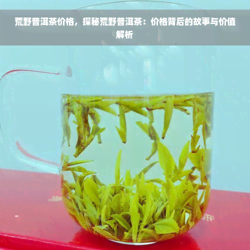 荒野普洱茶价格，探秘荒野普洱茶：价格背后的故事与价值解析