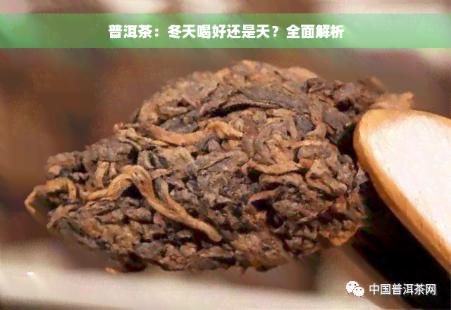 普洱茶：冬天喝好还是天？全面解析