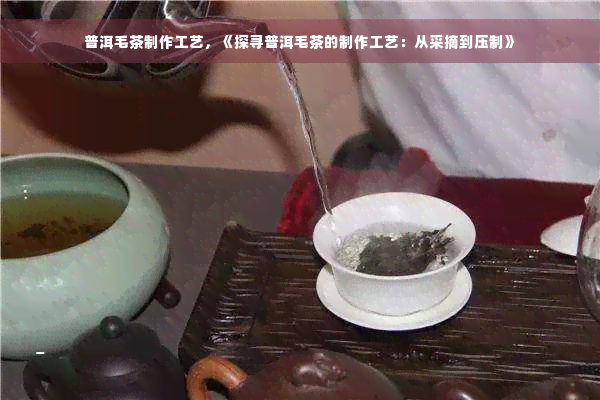 普洱毛茶制作工艺，《探寻普洱毛茶的制作工艺：从采摘到压制》