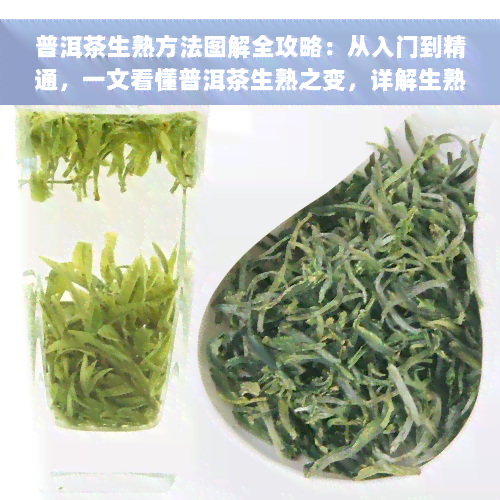 普洱茶生熟方法图解全攻略：从入门到精通，一文看懂普洱茶生熟之变，详解生熟茶的冲泡技巧与品尝方式。