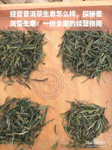 经营普洱茶生意怎么样，探秘普洱茶生意：一份全面的经营指南