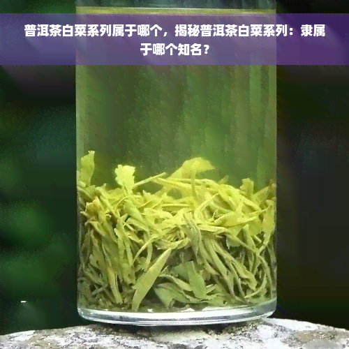 普洱茶白菜系列属于哪个，揭秘普洱茶白菜系列：隶属于哪个知名？