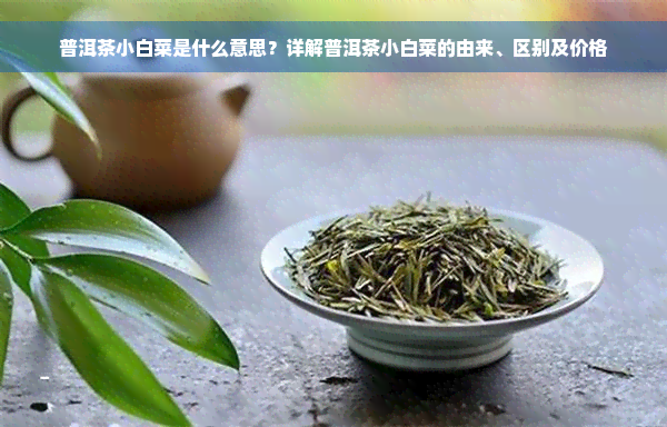 普洱茶小白菜是什么意思？详解普洱茶小白菜的由来、区别及价格