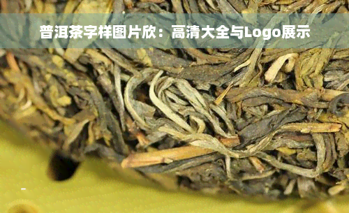 普洱茶字样图片欣：高清大全与Logo展示