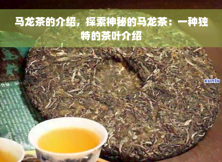 马龙茶的介绍，探索神秘的马龙茶：一种独特的茶叶介绍