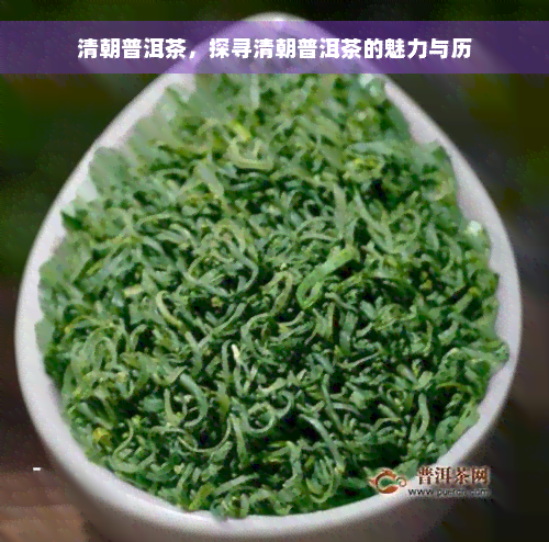 清朝普洱茶，探寻清朝普洱茶的魅力与历