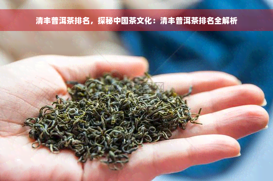 清丰普洱茶排名，探秘中国茶文化：清丰普洱茶排名全解析