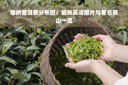 版纳普洱茶分布图：最新高清图片与著名茶山一览