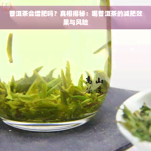 普洱茶会增肥吗？真相揭秘：喝普洱茶的减肥效果与风险