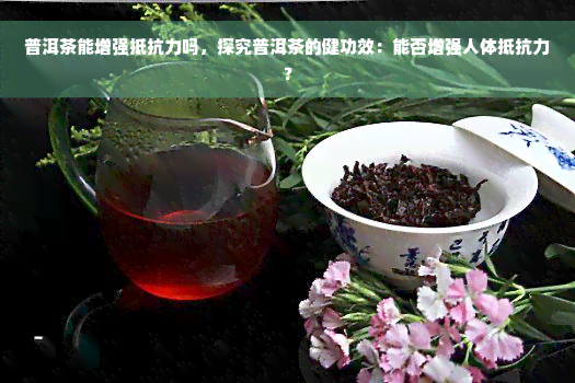 普洱茶能增强抵抗力吗，探究普洱茶的健功效：能否增强人体抵抗力？