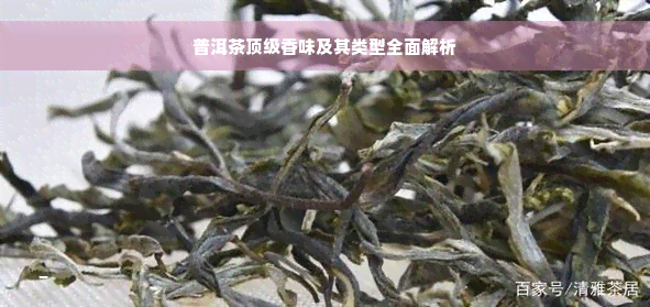 普洱茶顶级香味及其类型全面解析