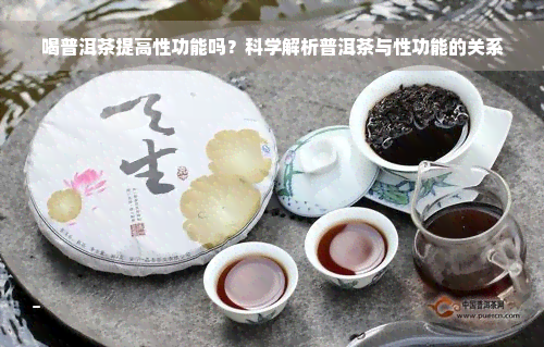 喝普洱茶提高性功能吗？科学解析普洱茶与性功能的关系