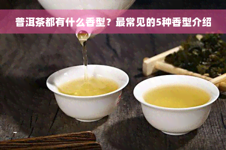 普洱茶都有什么香型？最常见的5种香型介绍