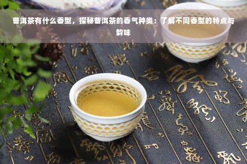 普洱茶有什么香型，探秘普洱茶的香气种类：了解不同香型的特点与韵味