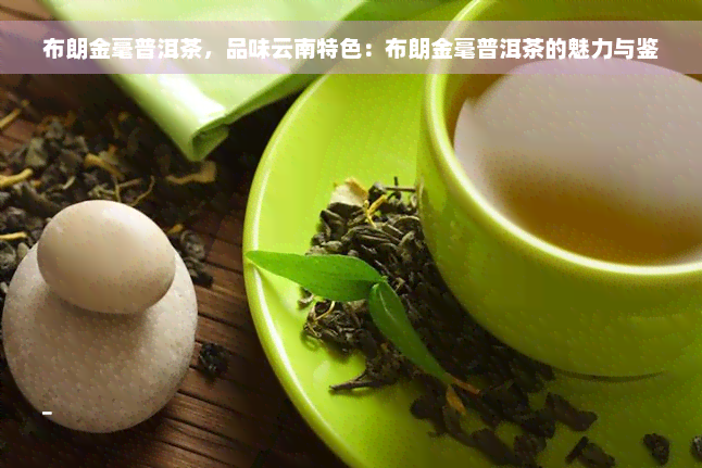 布朗金毫普洱茶，品味云南特色：布朗金毫普洱茶的魅力与鉴