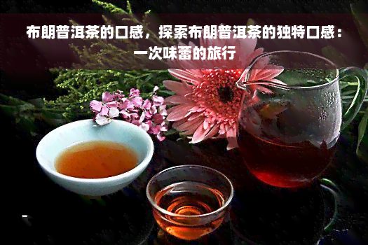 布朗普洱茶的口感，探索布朗普洱茶的独特口感：一次味蕾的旅行