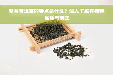 空谷普洱茶的特点是什么？深入了解其独特品质与韵味