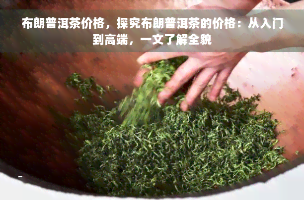 布朗普洱茶价格，探究布朗普洱茶的价格：从入门到高端，一文了解全貌