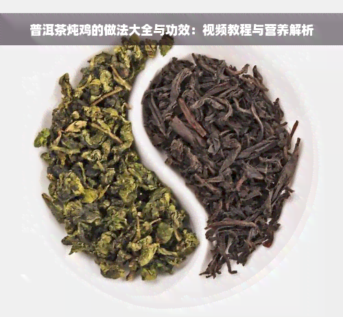 普洱茶炖鸡的做法大全与功效：视频教程与营养解析