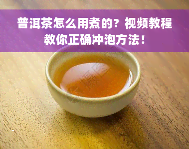 普洱茶怎么用煮的？视频教程教你正确冲泡方法！