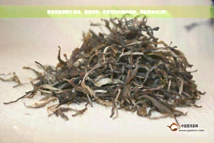 普洱茶瓷壶图片高清，高清 *** ：欣普洱茶的美妙韵味，用瓷壶泡出口感！