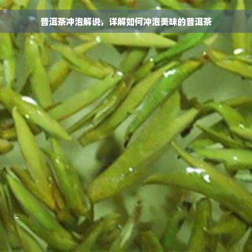 普洱茶冲泡解说，详解如何冲泡美味的普洱茶