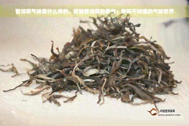 普洱茶气味是什么样的，探秘普洱茶的香气：你所不知道的气味世界