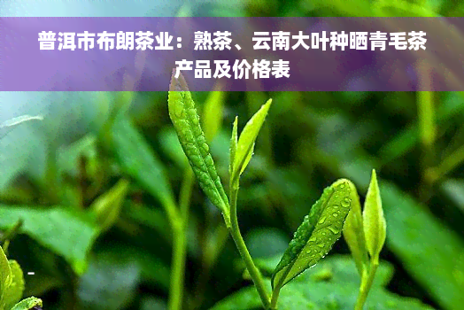 普洱市布朗茶业：熟茶、云南大叶种晒青毛茶产品及价格表