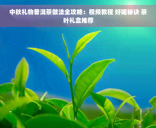 中秋礼物普洱茶做法全攻略：视频教程 好喝秘诀 茶叶礼盒推荐