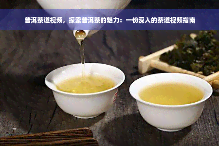 普洱茶道视频，探索普洱茶的魅力：一份深入的茶道视频指南