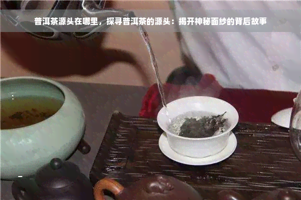 普洱茶源头在哪里，探寻普洱茶的源头：揭开神秘面纱的背后故事