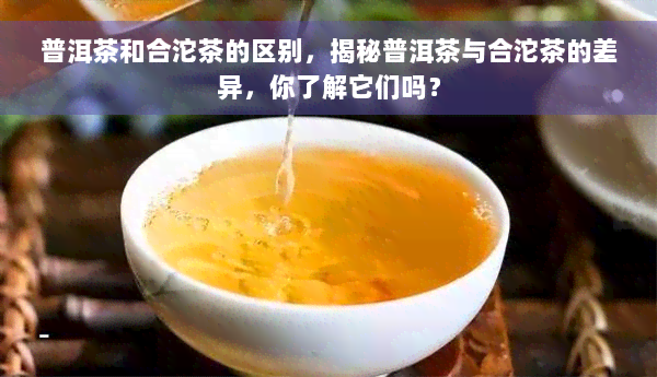 普洱茶和合沱茶的区别，揭秘普洱茶与合沱茶的差异，你了解它们吗？